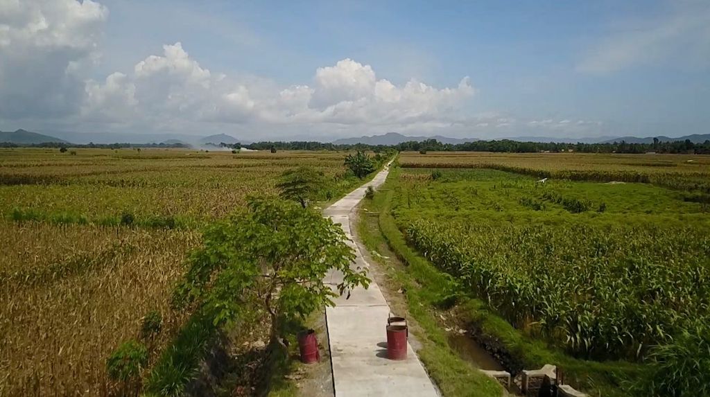 Jalan Usaha Tani Mudahkan Petani di Jember Mengakses Lahan Pertanian