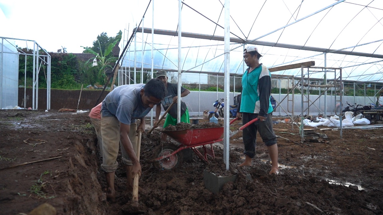 Petani Nangjuk mulai mendigitalkan dan mengembangkan pertanian rumah kaca pintar