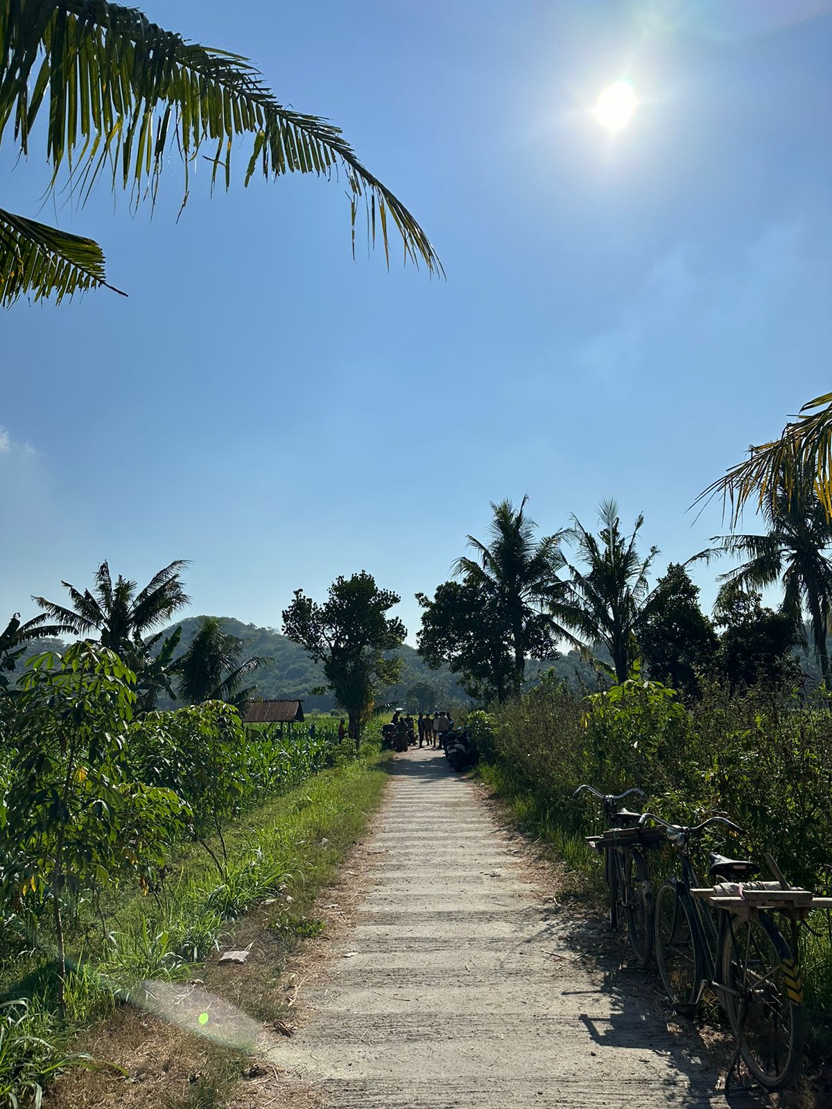 Hadapi El Nino, Ditjen PSP Kementan Serahkan Bantuan untuk Petani di Lombok Barat