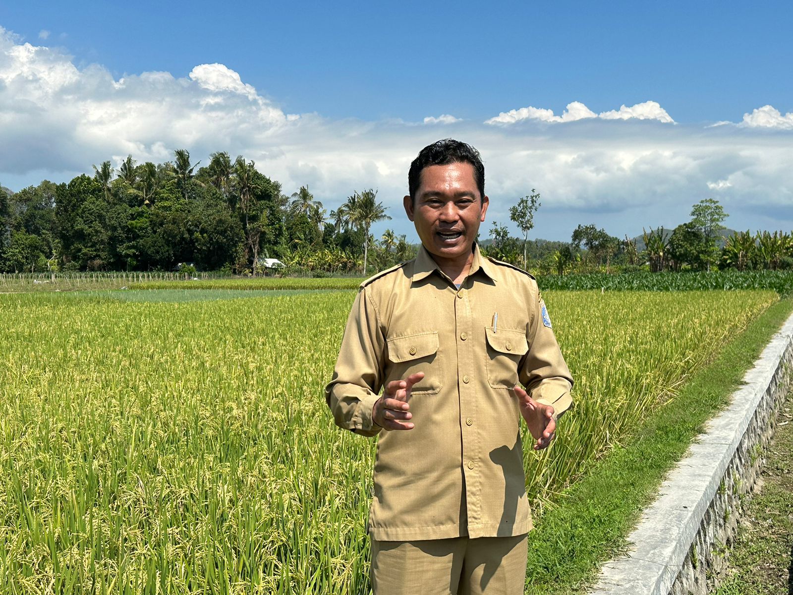 Hadapi El Nino, Ditjen PSP Kementan Serahkan Bantuan untuk Petani di Lombok Barat