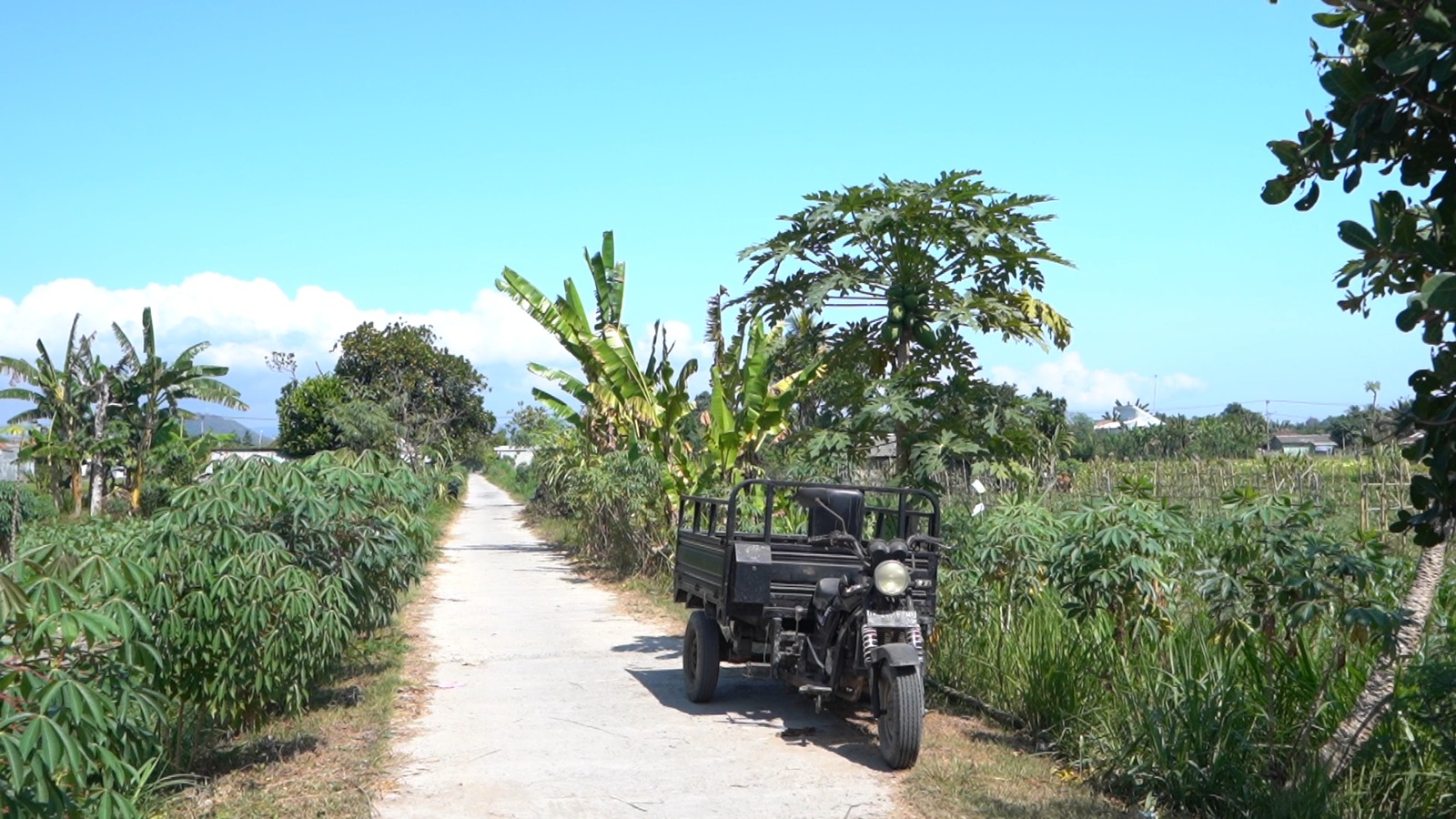 Bantuan JUT dari Kementan Disambut Suka Cita Petani di Lombok Barat