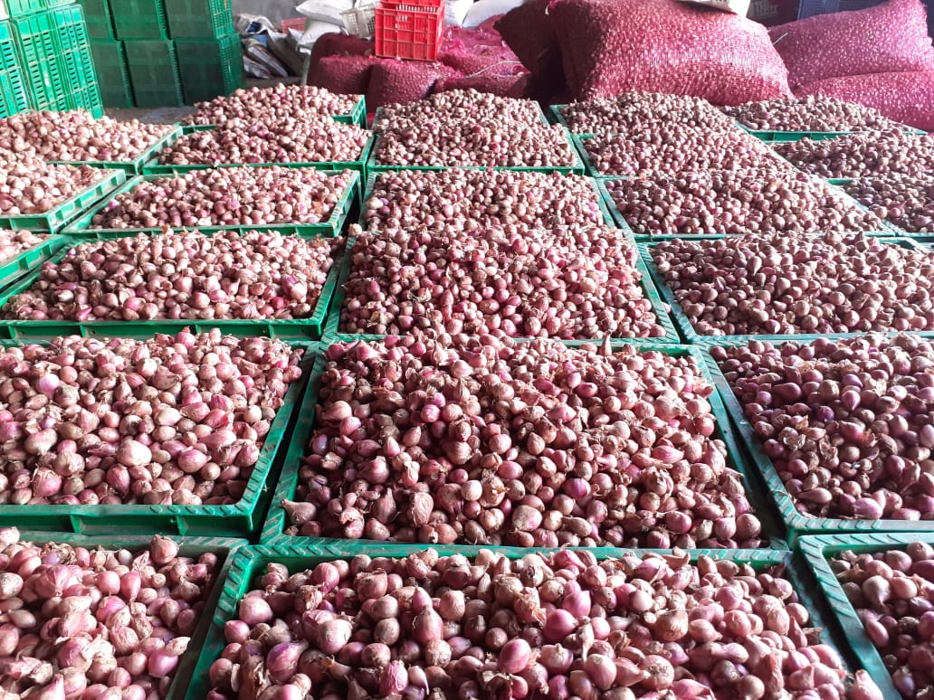 <i>Food Estate</i> Humbahas Panen, Petani: Kualitas Bawang Saya Bagus