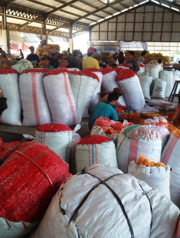 Pandemi Korona, Kementan Komitmen Jaga Produksi Pangan