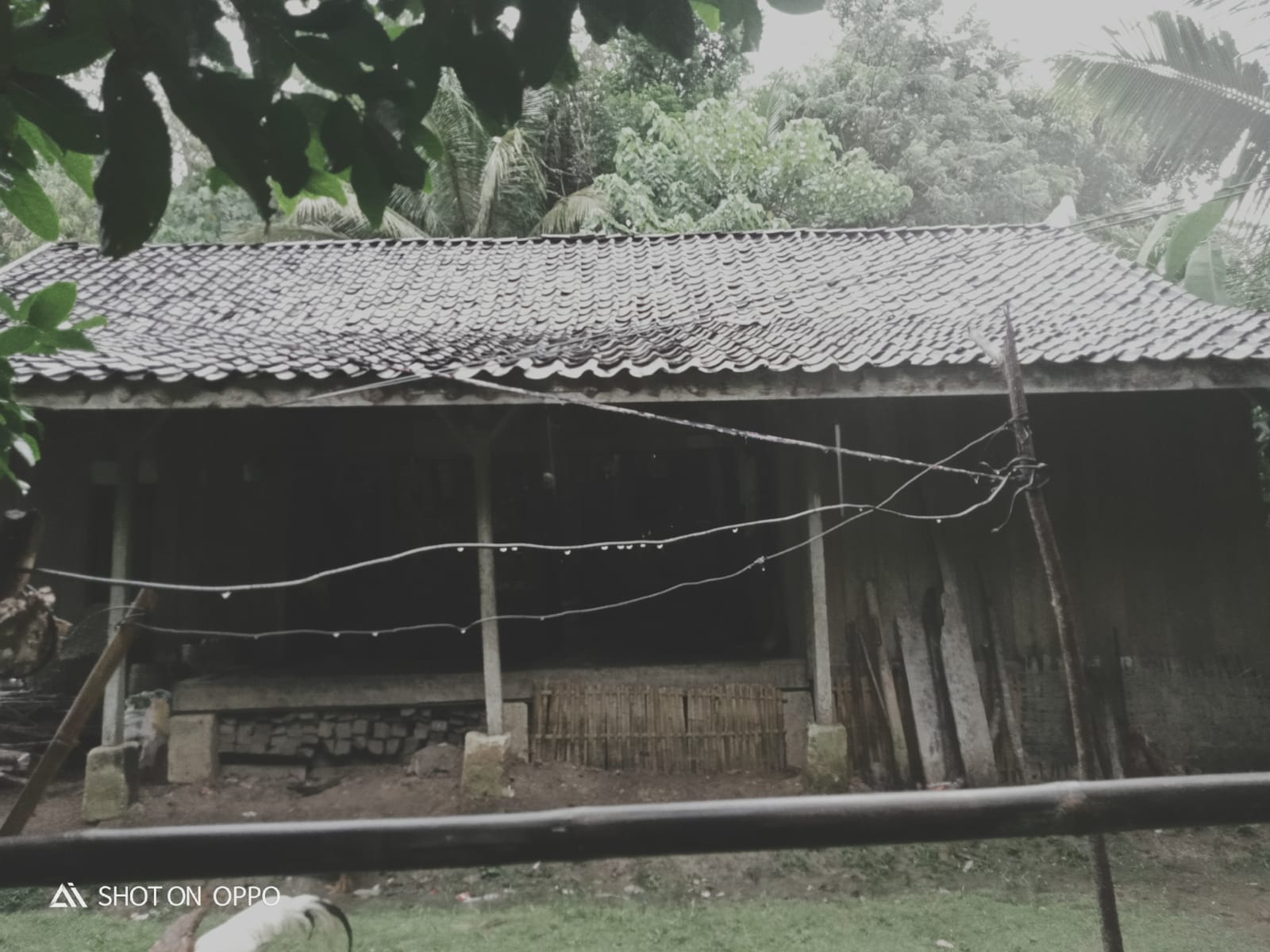 Bantu Nenek di Sukabumi Bangun Toilet agar Tak Lagi MCK di Hutan