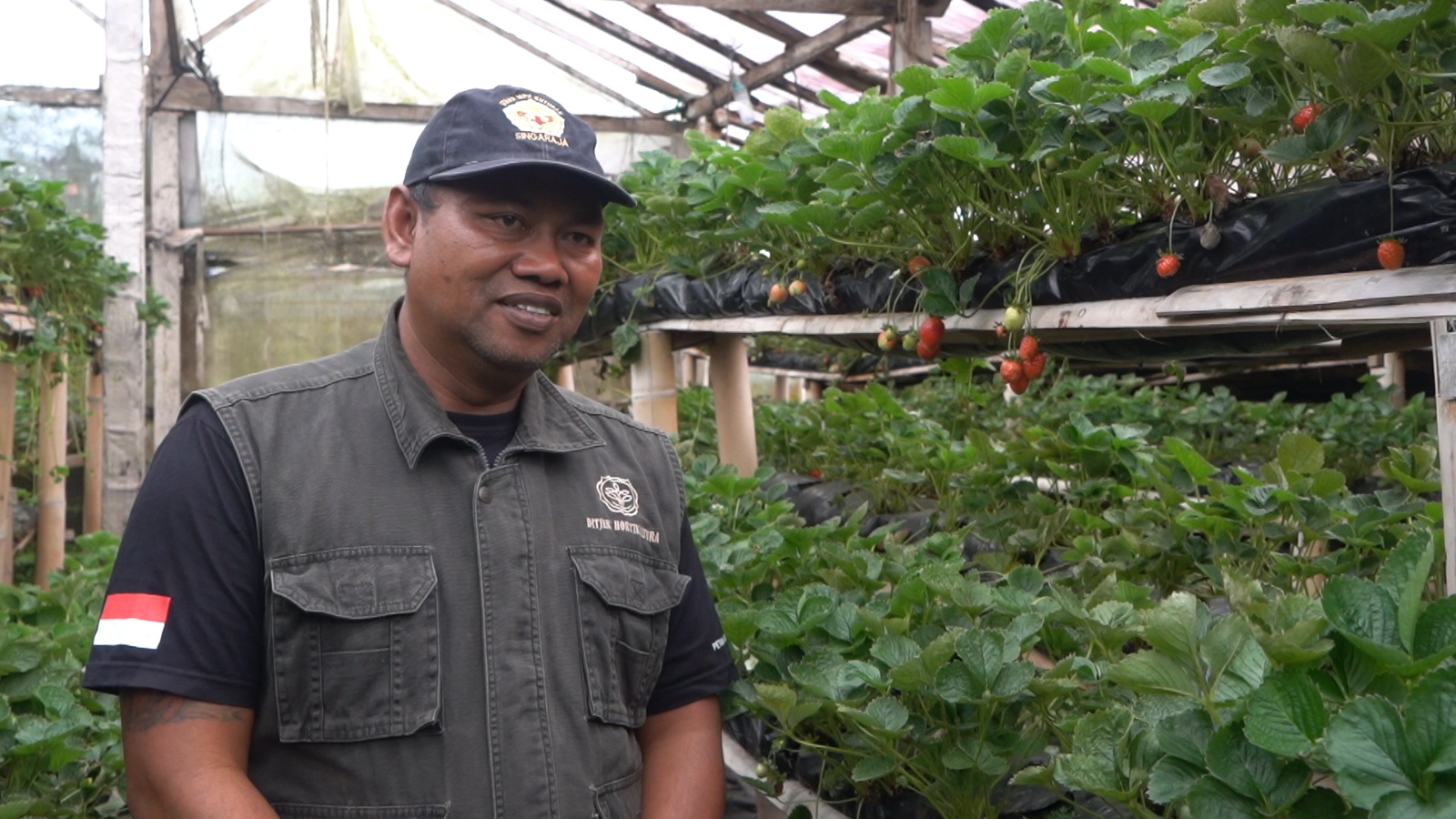 Petani Milenial Kembangkan Varietas Baru untuk Agro Wisata di Buleleng dengan Smart Green House
