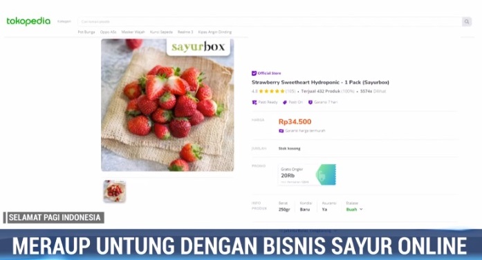 Jualan Sayur Online Tinggi Peminat di Tengah Pandemi
