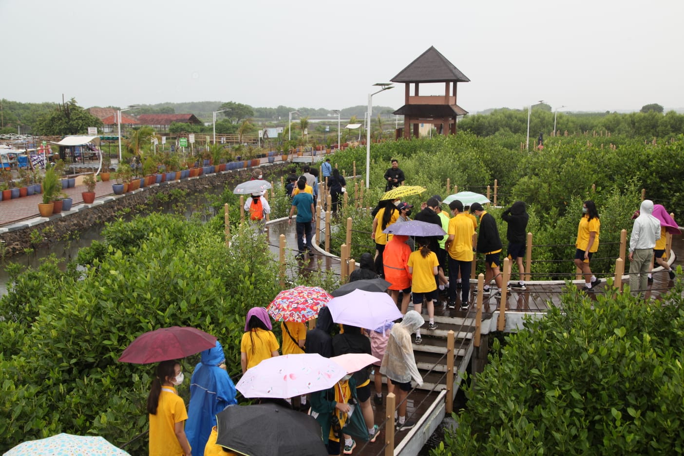Dukung Eco-Education dan Eco-Tourism, Pelajar SWA dan PWI Tangerang Bersama-sama Tanam Mangrove