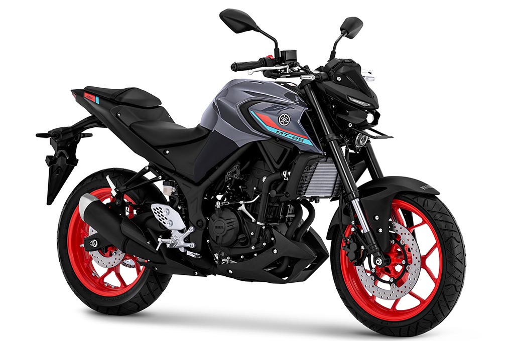 Dandanan Baru New Yamaha MT-25
