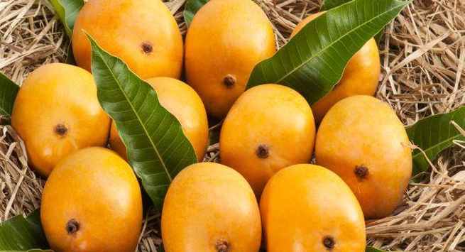6 Buah Ini Bantu Pembentukan Otot