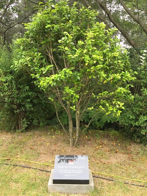 Megawati Garden, Kado Warga Jeju untuk Indonesia