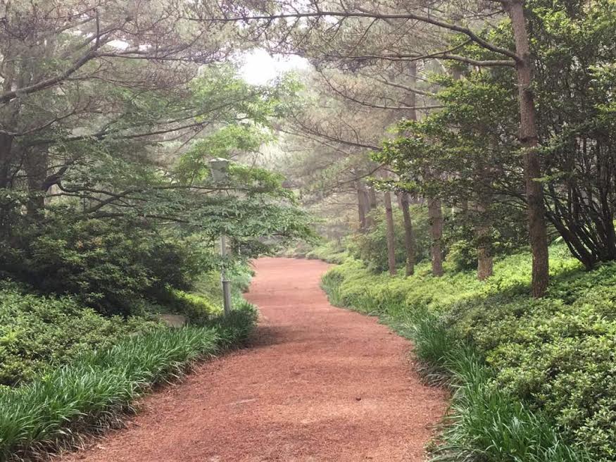 Megawati Garden, Kado Warga Jeju untuk Indonesia