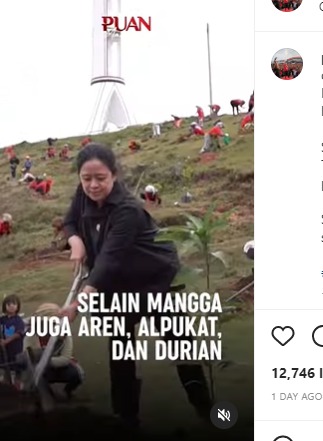 [Cek Fakta] Foto Puan Maharani Pura-pura Menanam Pohon? Ini Faktanya
