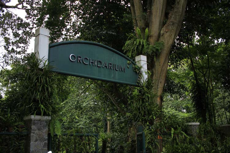 Taman Orchidarium di Kebun Raya Bogor. Website kebunraya.id