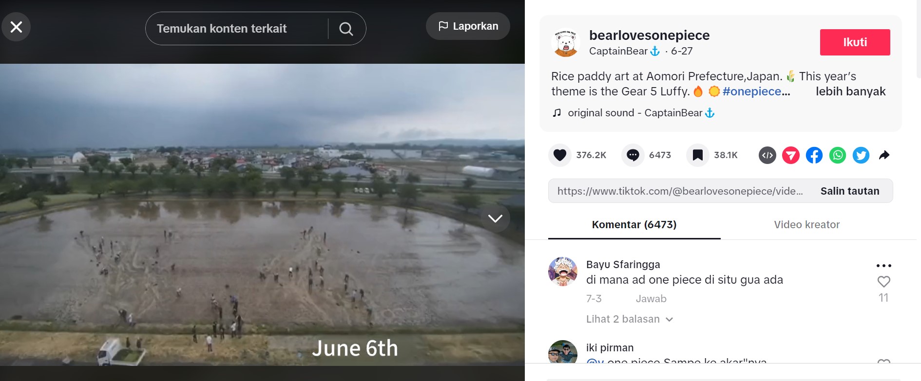 Keren! Desa di Jepang Ini Sulap Sawah Jadi Lukisan Luffy Gear 5