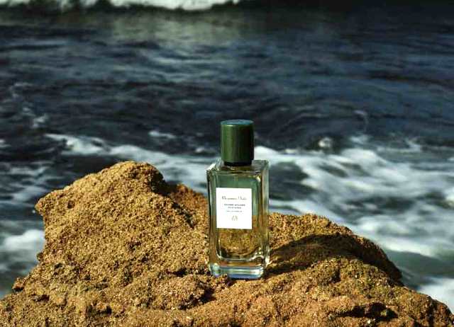 Pilihan Koleksi Parfum Terbaru untuk Pria dan Wanita