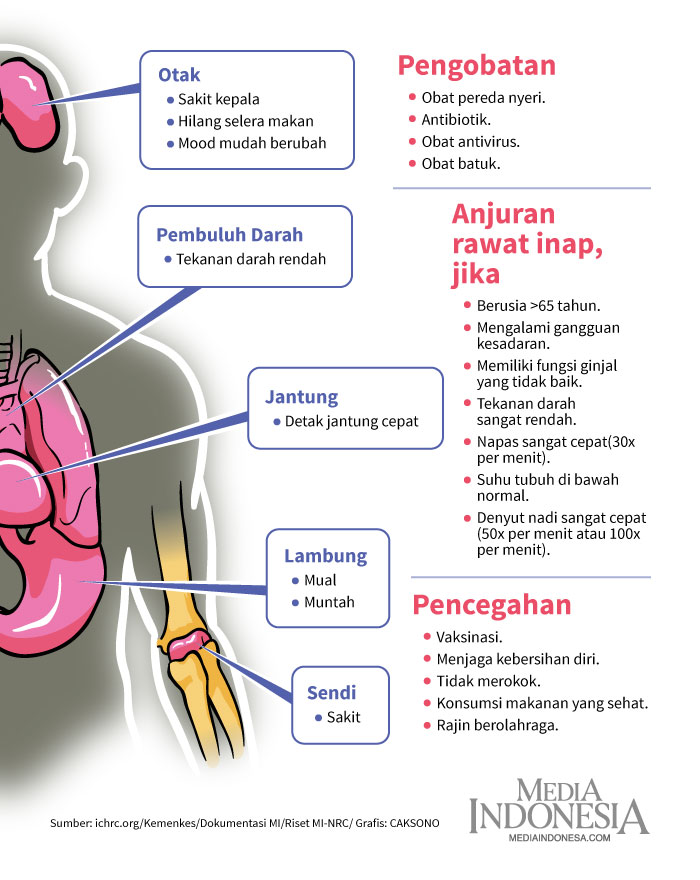 Pneumonia: Penyebab, Gejala, dan Cara Mengobati