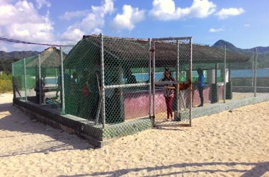 Menanti Senja di Pantai Maluk 