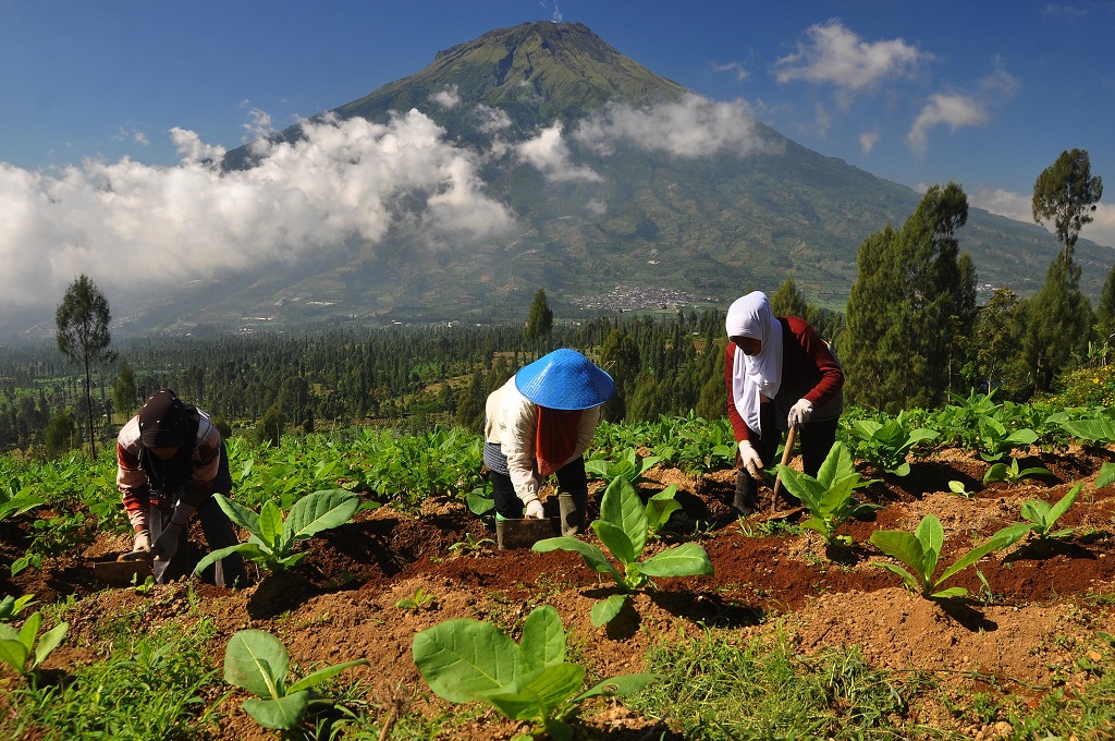 Kenangan Ganjar ketika Mendaki Gunung Sumbing