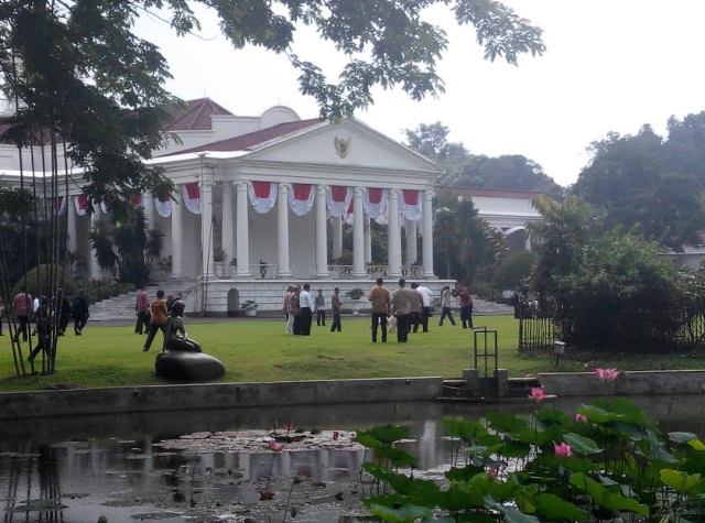 Jokowi Imbau Masyarakat Mulai Gemari Daging Domba dan Kambing