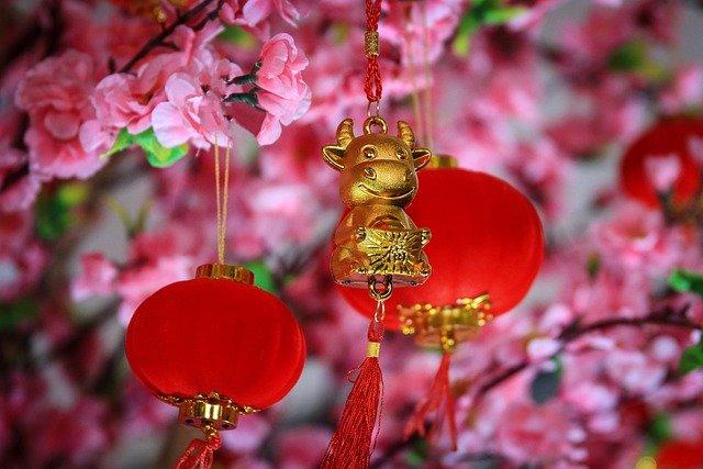Pohon sakura khas Imlek. Pixabay