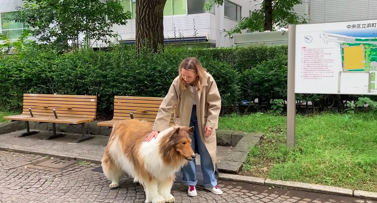 Viral, Pria Jepang Rela Habiskan Ratusan Juta Demi Berubah Jadi Anjing