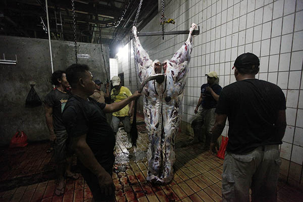 PD Dharma Jaya Tak Sanggup Penuhi Keinginan Jokowi