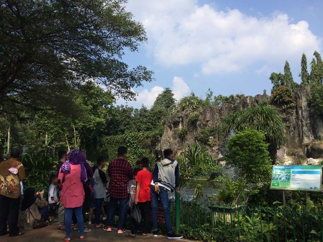 Libur Lebaran, Pengunjung Ragunan Nyaris 29 Ribu
