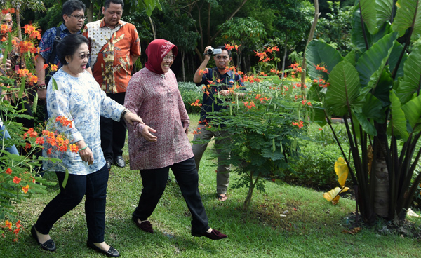 Pengamat: Peluang Risma Jadi DKI 1 Besar