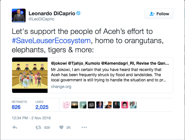 Seruan Leonardo DiCaprio Mendukung Petisi Penyelamatan Leuser