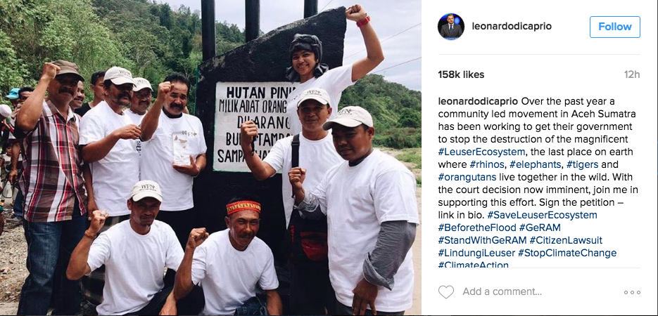 Seruan Leonardo DiCaprio Mendukung Petisi Penyelamatan Leuser
