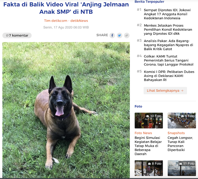 [Cek Fakta] Viral Video Anak SMP di Lombok Berubah Menjadi Seekor Anjing, Ini Cek Faktanya