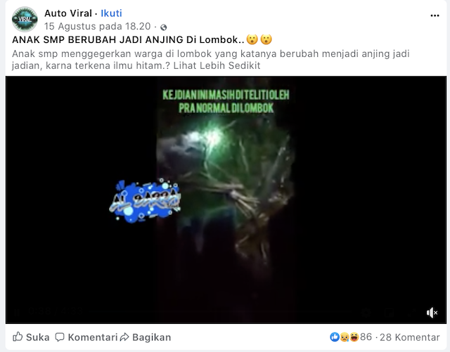 [Cek Fakta] Viral Video Anak SMP di Lombok Berubah Menjadi Seekor Anjing, Ini Cek Faktanya
