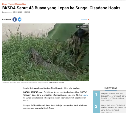 [Cek Fakta] 43 Ekor Buaya Lepas di Sungai Cisadane? Cek Faktanya