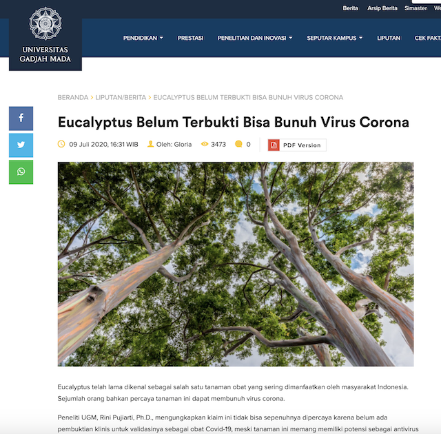 [Cek Fakta] Meminum Minyak Kayu Putih Diklaim dapat Menyembuhkan Covid-19? Cek Faktanya