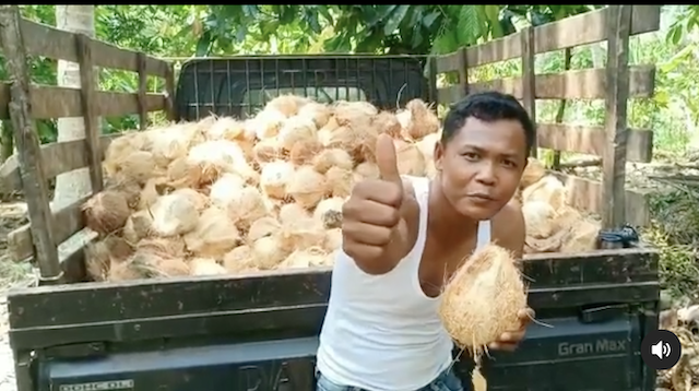 Selamat Tinggal Bingung Buang Kelapa
