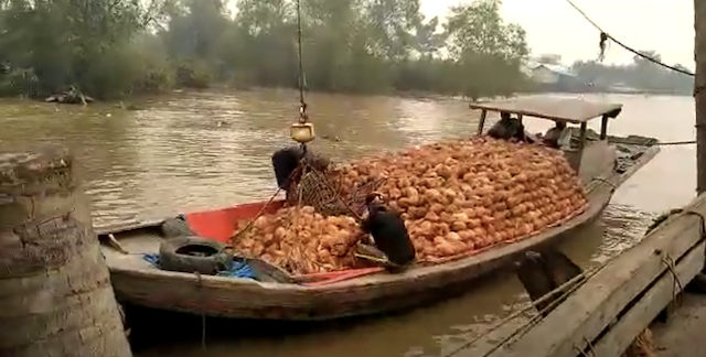 Selamat Tinggal Bingung Buang Kelapa