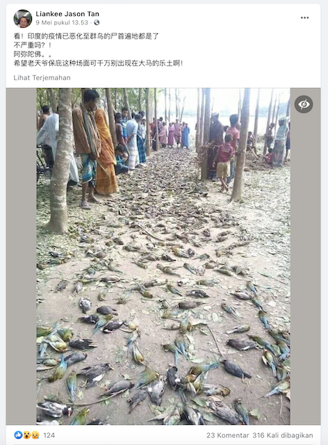 [Cek Fakta] Foto Ratusan Burung Mati Terpapar Covid-19 di India? Ini Faktanya