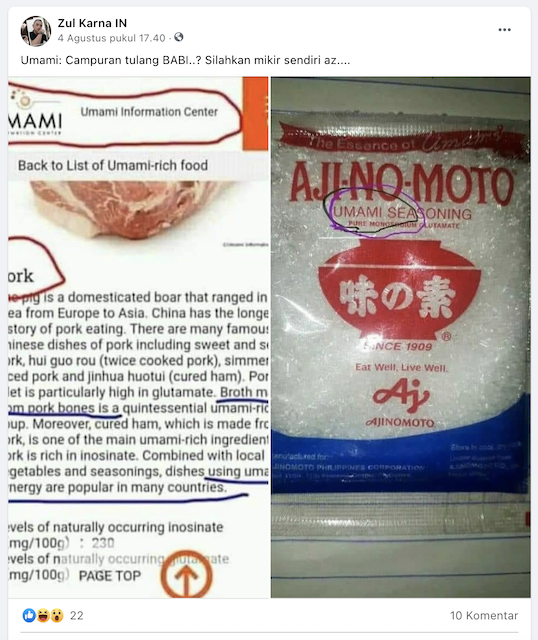 [Cek Fakta] Ajinomoto Dikabarkan Mengandung Tulang Babi? Begini Faktanya