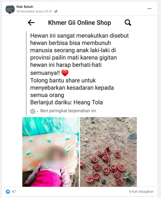 [Cek Fakta] Beredar Foto Anak Kecil Meninggal karena Gigitan Hewan Kaki Seribu? Ini Faktanya