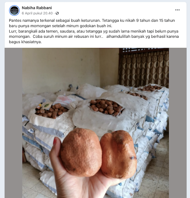 [Cek Fakta] Mengonsumsi Buah Zuriat Diklaim Meningkatkan Peluang Kehamilan? Cek Dulu Faktanya