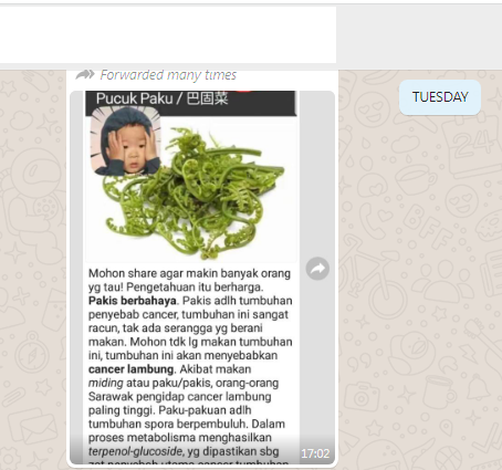 [Cek Fakta] Sayur Pakis Berbahaya Sebabkan Kanker? Ini Faktanya