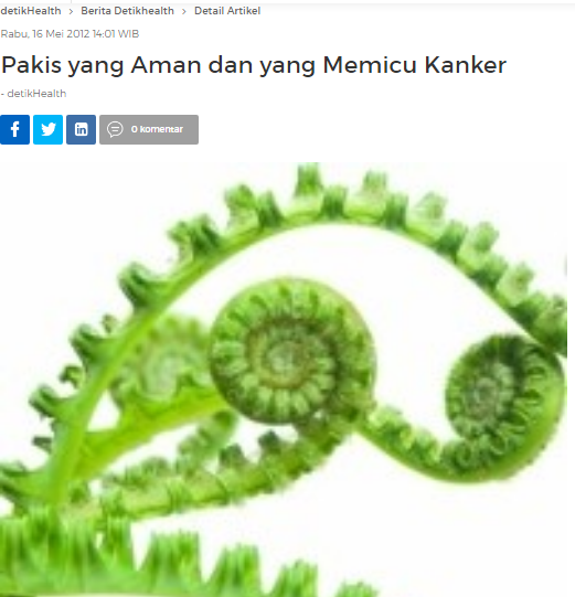 [Cek Fakta] Sayur Pakis Berbahaya Sebabkan Kanker? Ini Faktanya