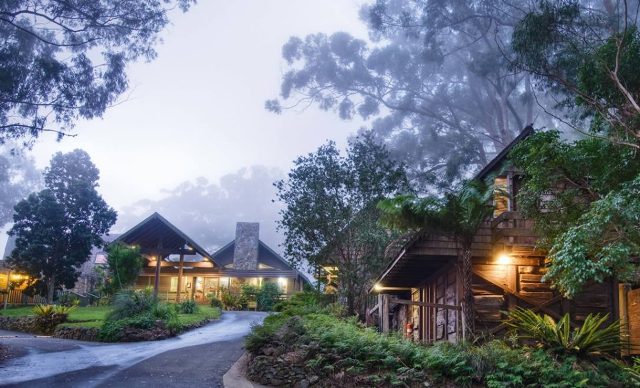 Tantang Nyali Anda Berkendara 4WD di Gold Coast