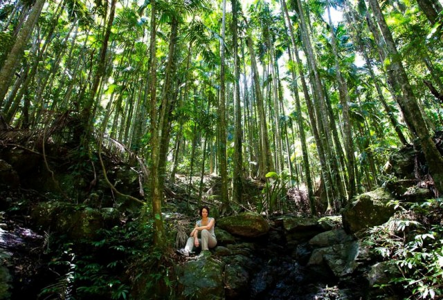 Tantang Nyali Anda Berkendara 4WD di Gold Coast