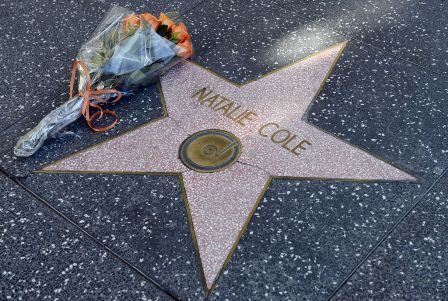 Natalie Cole, Pernah Berjuang Lawan Ketergantungan Narkoba