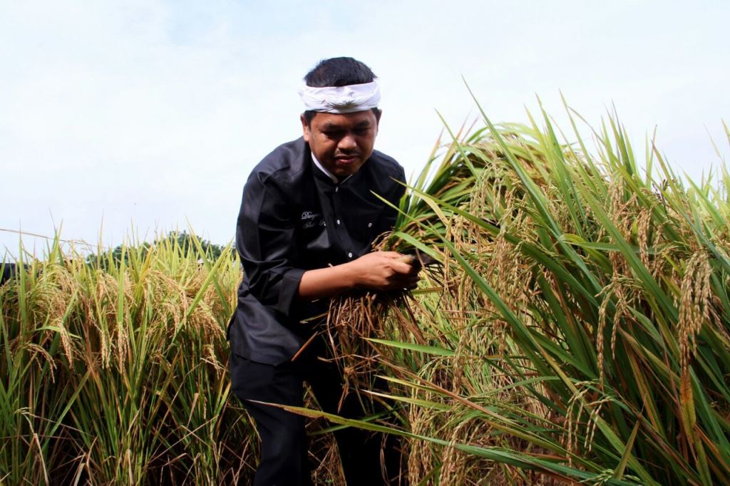 Pemkab Purwakarta Beri Ganti Rugi Petani yang Gagal Panen