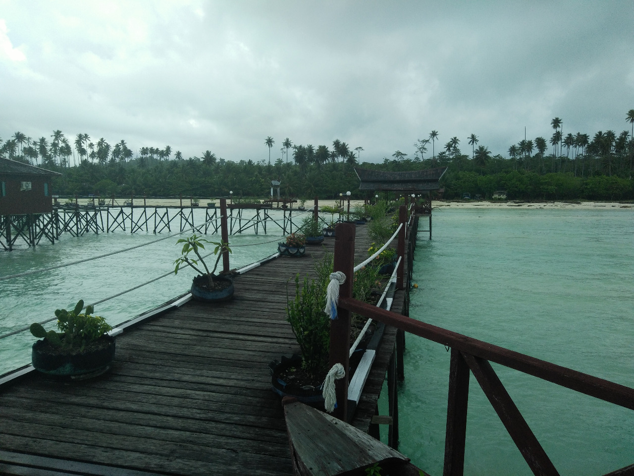 Pesona Bahari di Pulau Maratua