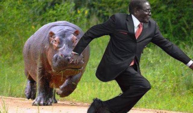 Begini Kalau Presiden Zimbabwe Dikerjai Fotografer   
