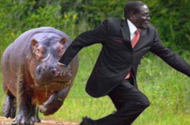 Presiden Zimbabwe, Sudah Jatuh Tertimpa Meme     