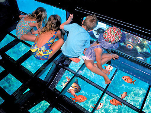 Berenang di Hawaii Malah Kangen Berat Sama Pulau Seribu
